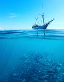 stock photo of surface  - Sail boat in a tropical calm sea on a surface and large school of a Jackfish underwater - JPG 