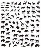 pic of animals  - big collection of vector silhouettes of various animals - JPG 