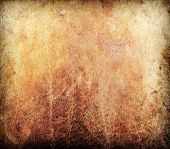 pic of nature  - grunge leather texture used as background - JPG 