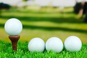 foto of golf  - Golf balls on grass outdoor close up - JPG 