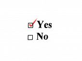 image of tickbox  - Yes No tickbox with green red tick - JPG 