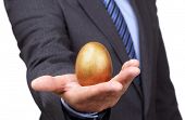 picture of investment  - Businessman holding a golden egg concept for wealth - JPG 