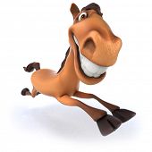 pic of horse  - Fun horse - JPG 