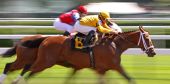 foto of horse  - Slow shutter speed rendering of two racing jockeys and thoroughbreds - JPG 