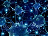 picture of illustration  - 3d rendering illustration of neurons - JPG 