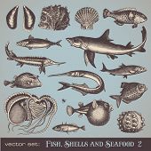 picture of animals  - vector set - JPG 