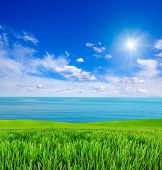 stock photo of blue sky  - summer landscape - JPG 