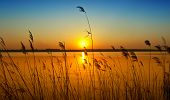 foto of sunset  - sunset on the river - JPG 