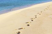 stock photo of bermuda  - Series of my footsteps walking through a private beach on the South Shore side of Bermuda - JPG 
