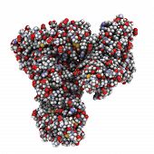 stock photo of transportation  - Chemical structure of human serum albumin  - JPG 