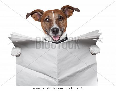 Picture or Photo of Dog reading and holding a blank newspaper