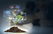 image of finance  - Money Sprouting  - JPG 