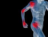 pic of health  - High resolution conceptual 3D human ideal for anatomy - JPG 