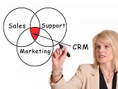 stock photo of meeting  - Female executive drawing Customer Relationship Management  - JPG 