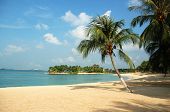 stock photo of beach  - beach at sentosa - JPG 