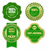 stock photo of nature  - natural bio design elements set - JPG 