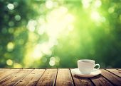 cup coffee and sunny trees background