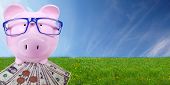 foto of money  - Piggy bank with money - JPG 