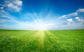 picture of outdoor  - Sunset sun and field of green fresh grass under blue sky - JPG 