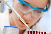 image of health  - laboratory assistant analyzing a blood sample - JPG 