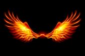picture of black  - Wings in Flame and Fire - JPG 