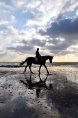 stock photo of horse  - Silhouette of Female Horse Rider Walking on the Sandy Beach with Reflection of the Sky - JPG 