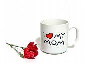 image of over white  - mom mug with red carnation over white - JPG 