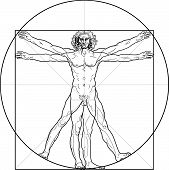 foto of da-vinci  - The Vitruvian man - JPG 