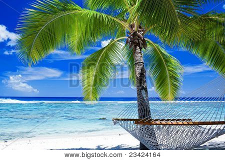 Picture or Photo of Empty hammock between palm trees on tropical beach