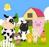 image of animals  - farm animal - JPG 