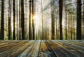 stock photo of sunset  - sunset forest and wooden floor - JPG 