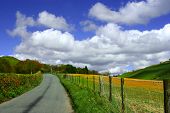 stock photo of blue sky  - a rural uphill road - JPG 