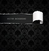 picture of drapery  - Torn Paper Background - JPG 