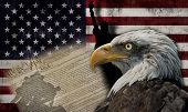 stock photo of monument  - Bald eagle and the silhouette of the statue of liberty and the Marine Corps War Memorial monument with some historical documents on the american flag - JPG 