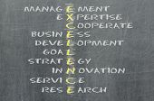 picture of strategy  - Conceptual EXCELLENCE acronym written on black chalkboard blackboard - JPG 