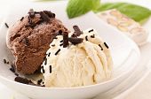 stock photo of ice  - Chocolate and Vanilla Ice Cream - JPG 