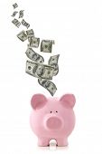 picture of currency  - US currency falling into a pink piggy bank - JPG 