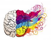 picture of cerebellum  - vector creativity concept  - JPG 