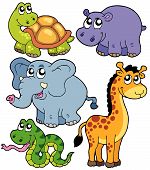 stock photo of animals  - African animals collection  on white background  - JPG 