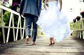 picture of bridge  - Beautiful wedding couple is enjoying their wedding - JPG 