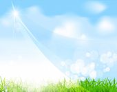 stock photo of blue sky  - vector blue sky with grass - JPG 