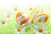 pic of religion  - Easter eggs with daisy on grass - JPG 