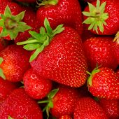 foto of food  - Fresh ripe perfect strawberry  - JPG 