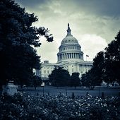 pic of buildings  - Washington DC - JPG 