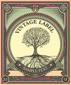 pic of illustration  - Vintage cider tree  - JPG 