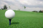 picture of golf  - Golf ball on tee greens ready to tee off sun from behind
 - JPG 