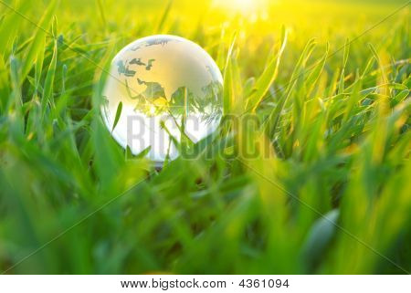 Picture or Photo of Earth globe in the grass. business concept