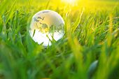 picture of business concept  - Earth globe in the grass - JPG 
