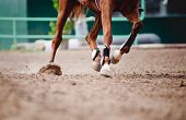 stock photo of horse  - field of horse and jockey during a race
 - JPG 