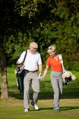 pic of golf  - Mature or senior couple playing golf - JPG 
